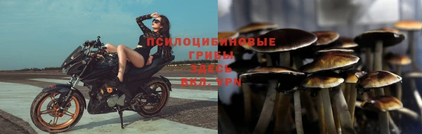 соль курить ск Верхний Тагил