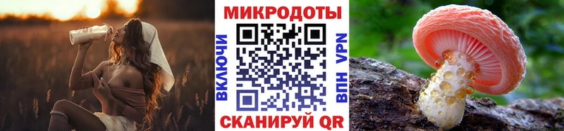 Купить  Малоархангельск  Псилоцибиновые грибы Psilocybe 